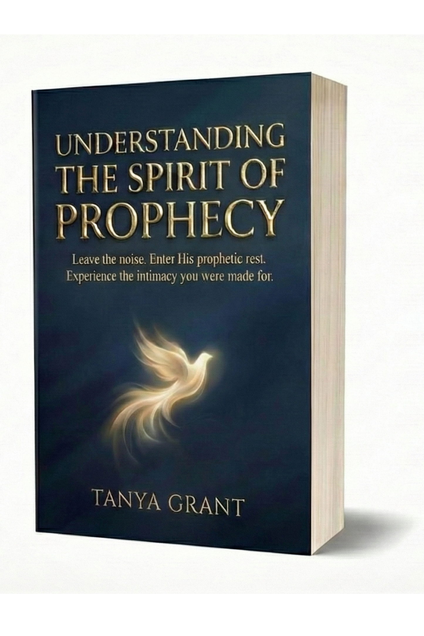 Understanding The Spirit of Prophecy: Leave the Noise..Enter His Prophetic Rest...Experience the Intimacy you Were Made For